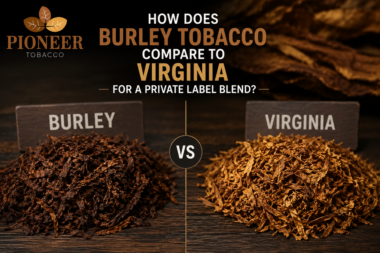 Burley tobacco vs Virginia tobacco